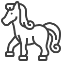 horse (2)
