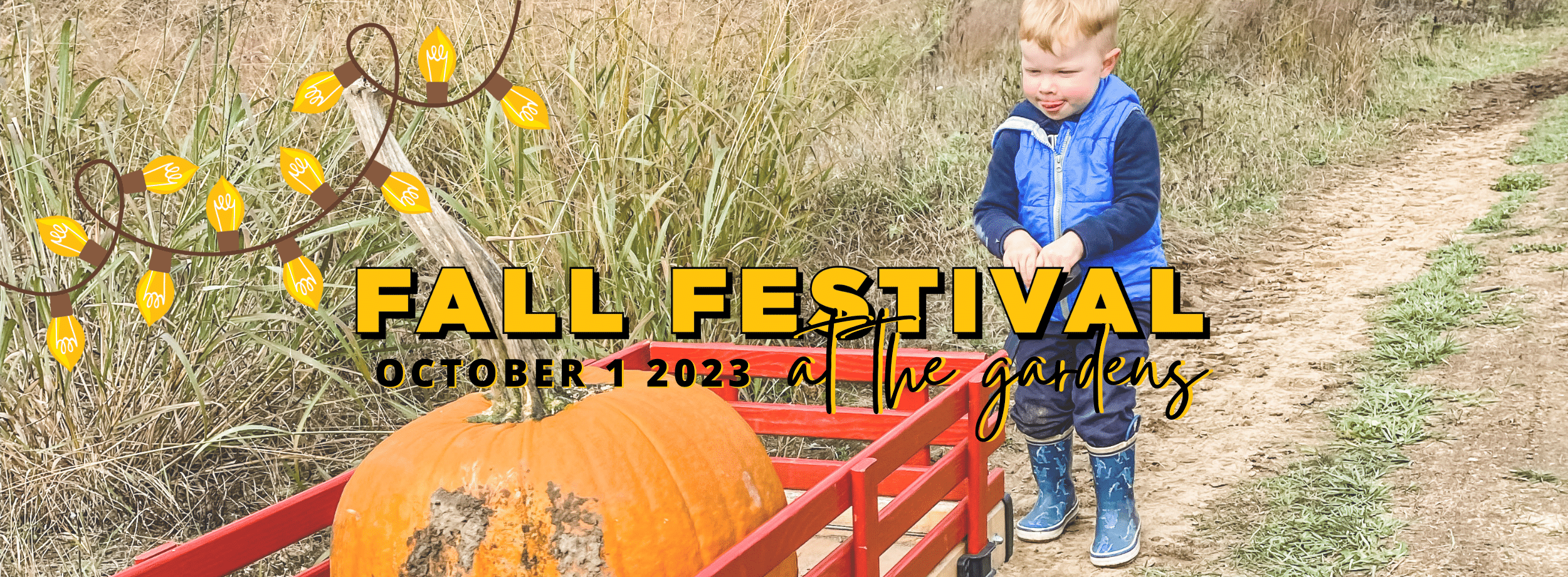 Fall Festival